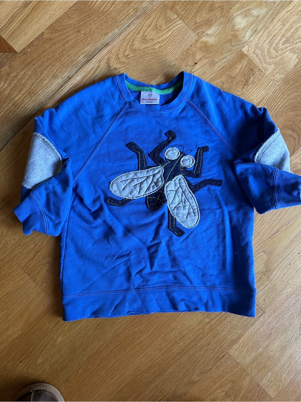 Hanna Andersson sweatshirt size 120 / 6-7 blue fly applique